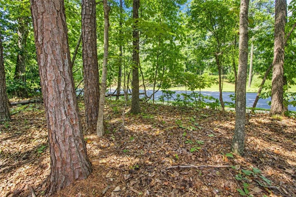 unimproved land for sale at 0 Buice Road, Johns Creek, GA 30022 — photo 3