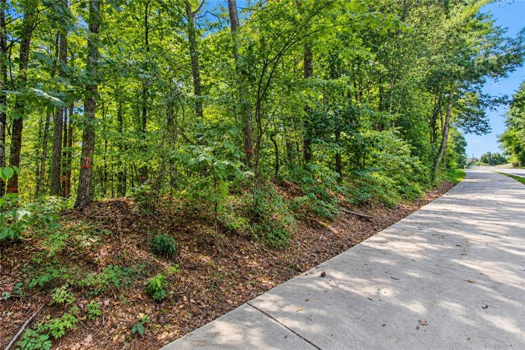 unimproved land for sale at 0 Buice Road, Johns Creek, GA 30022 — photo 4