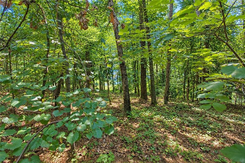 unimproved land for sale at 0 Buice Road, Johns Creek, GA 30022 — photo 5