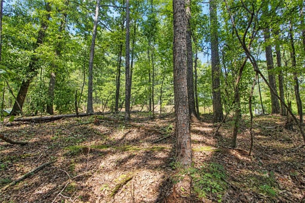 unimproved land for sale at 0 Buice Road, Johns Creek, GA 30022 — photo 6