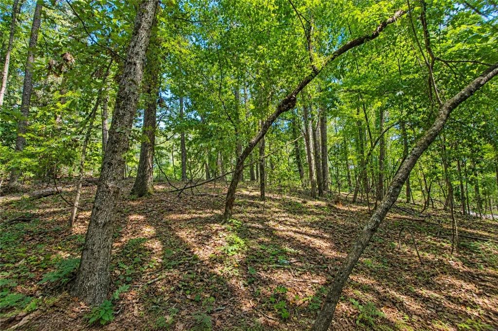 unimproved land for sale at 0 Buice Road, Johns Creek, GA 30022 — photo 7