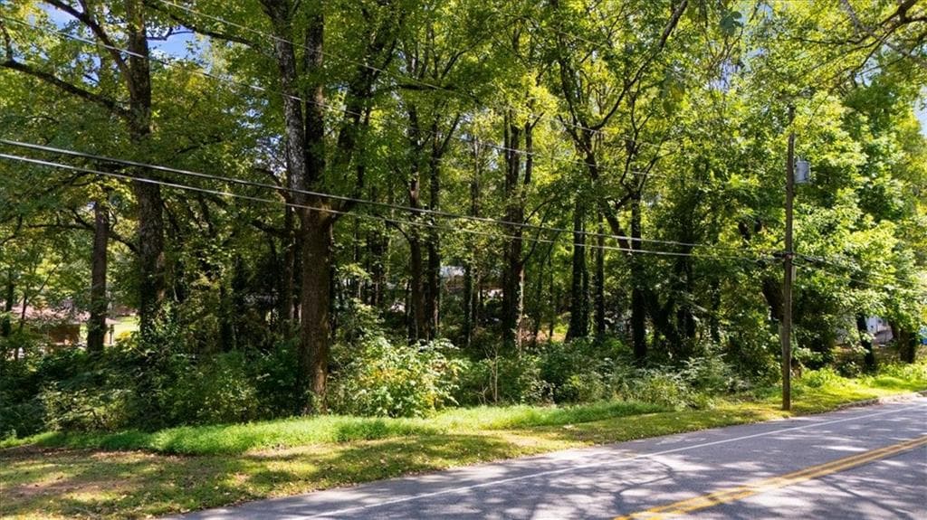 unimproved land for sale at 2614 Macon Drive, Atlanta, GA 30315 — photo 5
