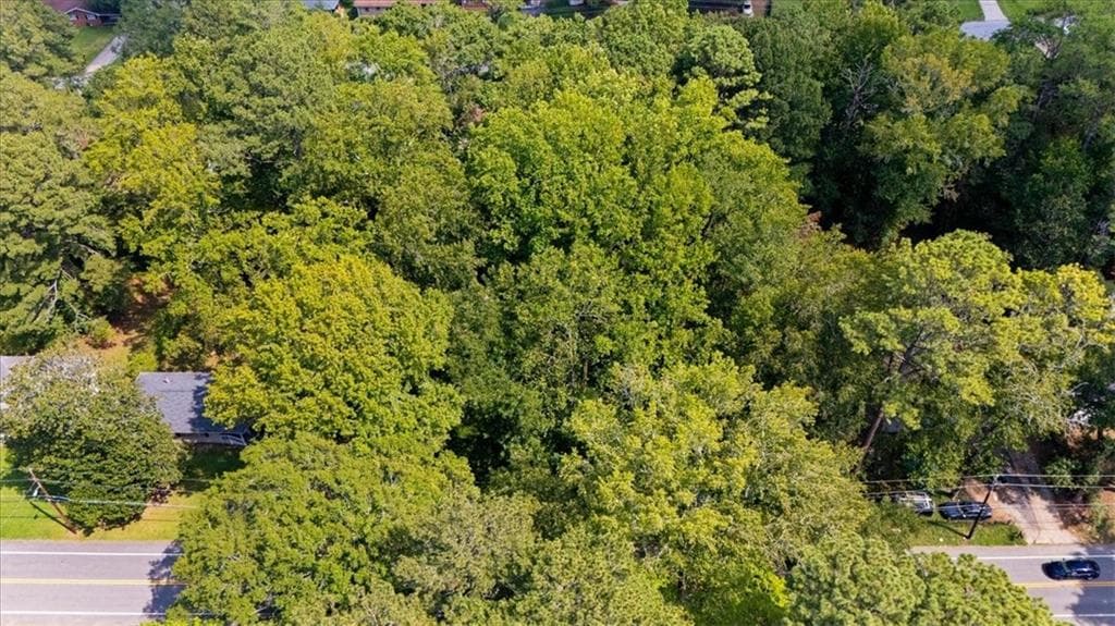 unimproved land for sale at 2614 Macon Drive, Atlanta, GA 30315 — photo 7