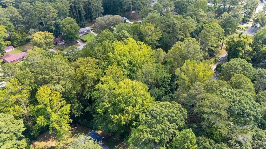 unimproved land for sale at 2614 Macon Drive, Atlanta, GA 30315 — photo 8