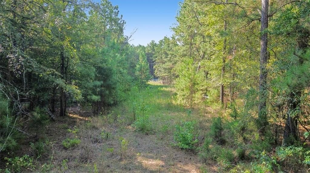unimproved land for sale at 3371 Morton Bend Road, Rome, GA 30161 — photo 4