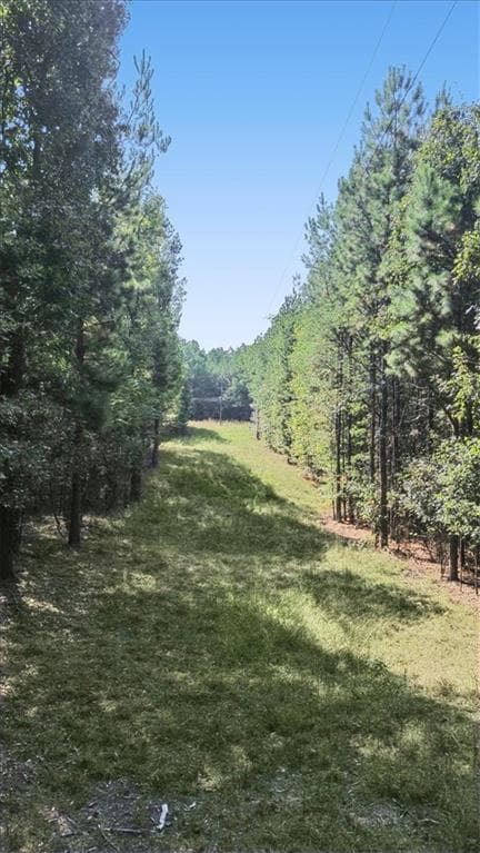 unimproved land for sale at 3371 Morton Bend Road, Rome, GA 30161 — photo 5