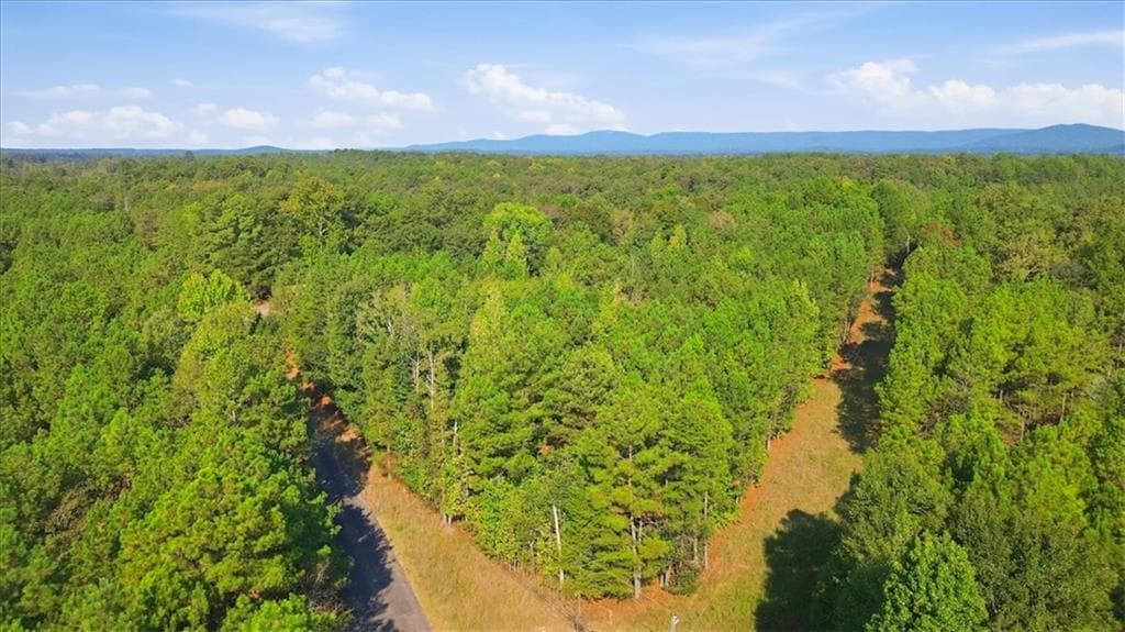 unimproved land for sale at 3371 Morton Bend Road, Rome, GA 30161 — photo 7