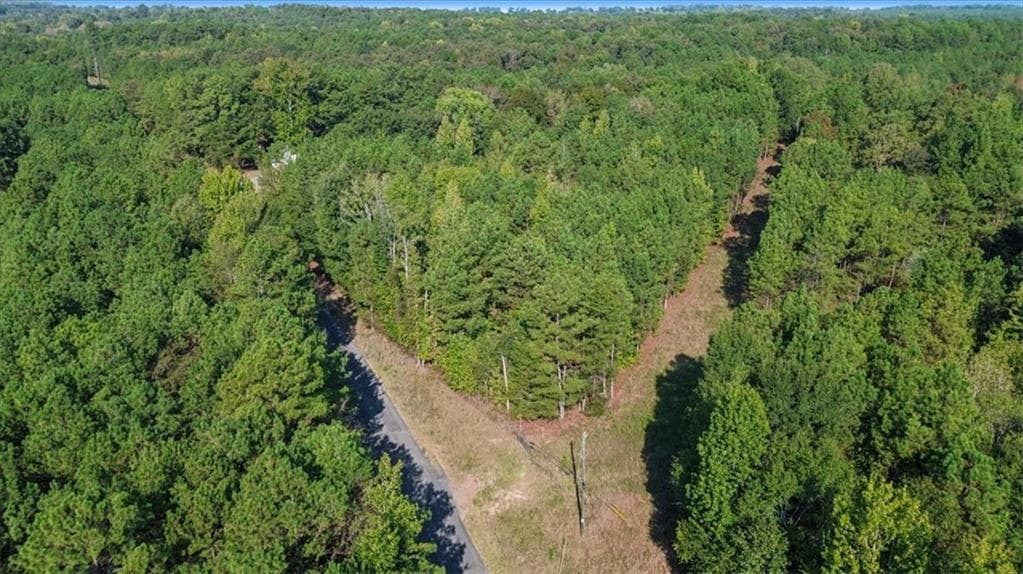 unimproved land for sale at 3371 Morton Bend Road, Rome, GA 30161 — photo 8