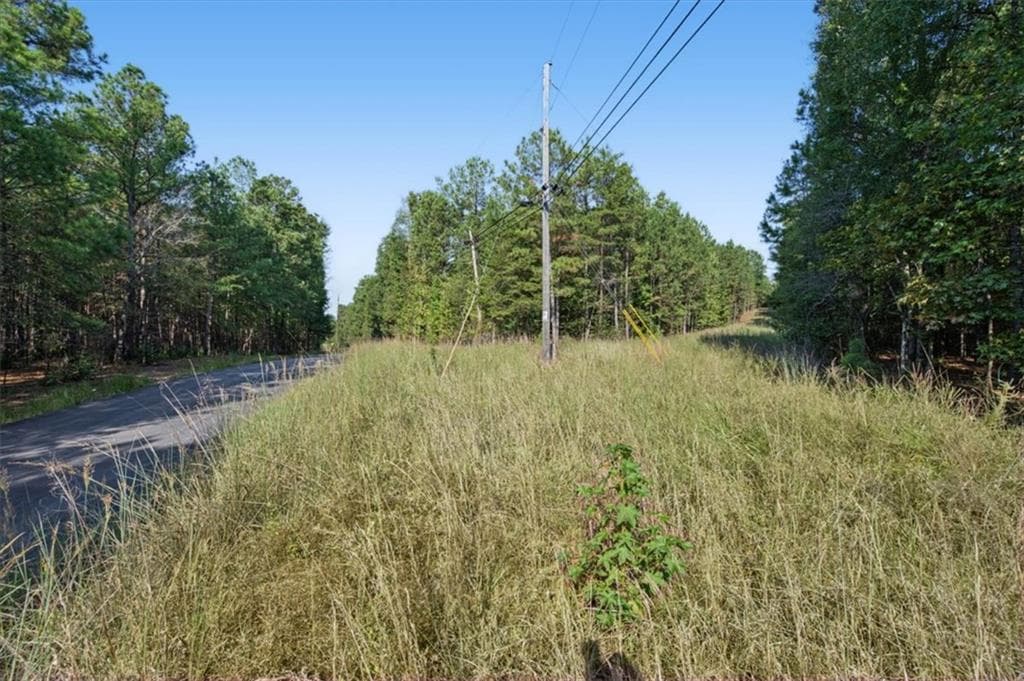 unimproved land for sale at 3371 Morton Bend Road, Rome, GA 30161 — photo 9