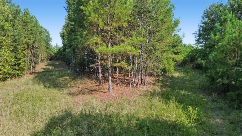 unimproved land for sale at 3371 Morton Bend Road, Rome, GA 30161 — photo 10