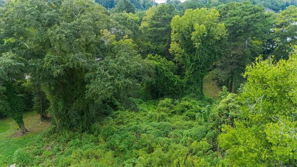 unimproved land for sale at 2210 Wilson Avenue, Atlanta, GA 30310 — photo 5
