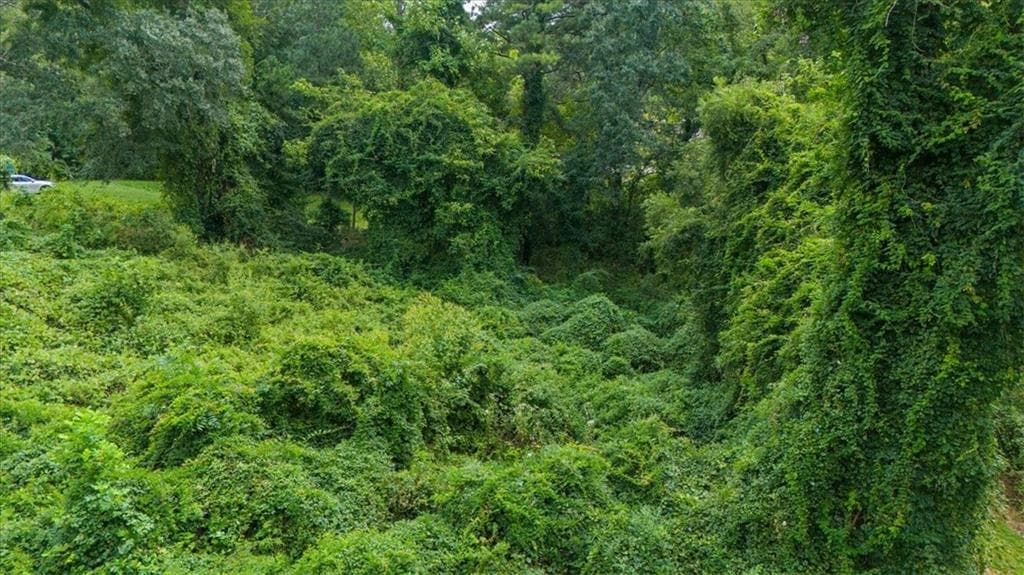 unimproved land for sale at 2210 Wilson Avenue, Atlanta, GA 30310 — photo 8