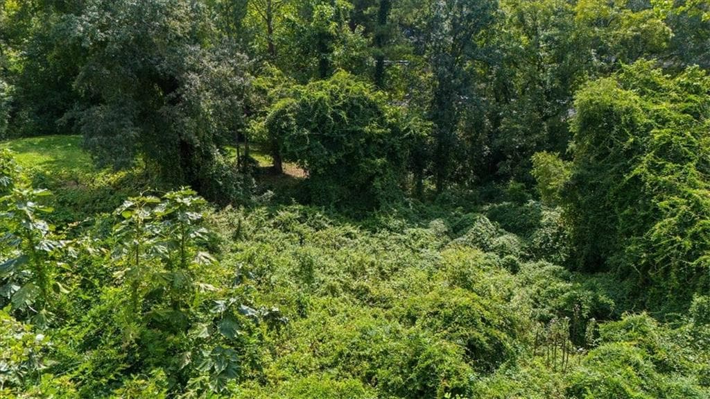unimproved land for sale at 2210 Wilson Avenue, Atlanta, GA 30310 — photo 9
