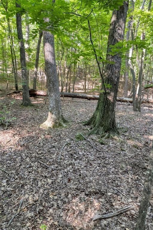 single family residence for sale at 90 Cardinal Cove, Big Canoe, GA 30143