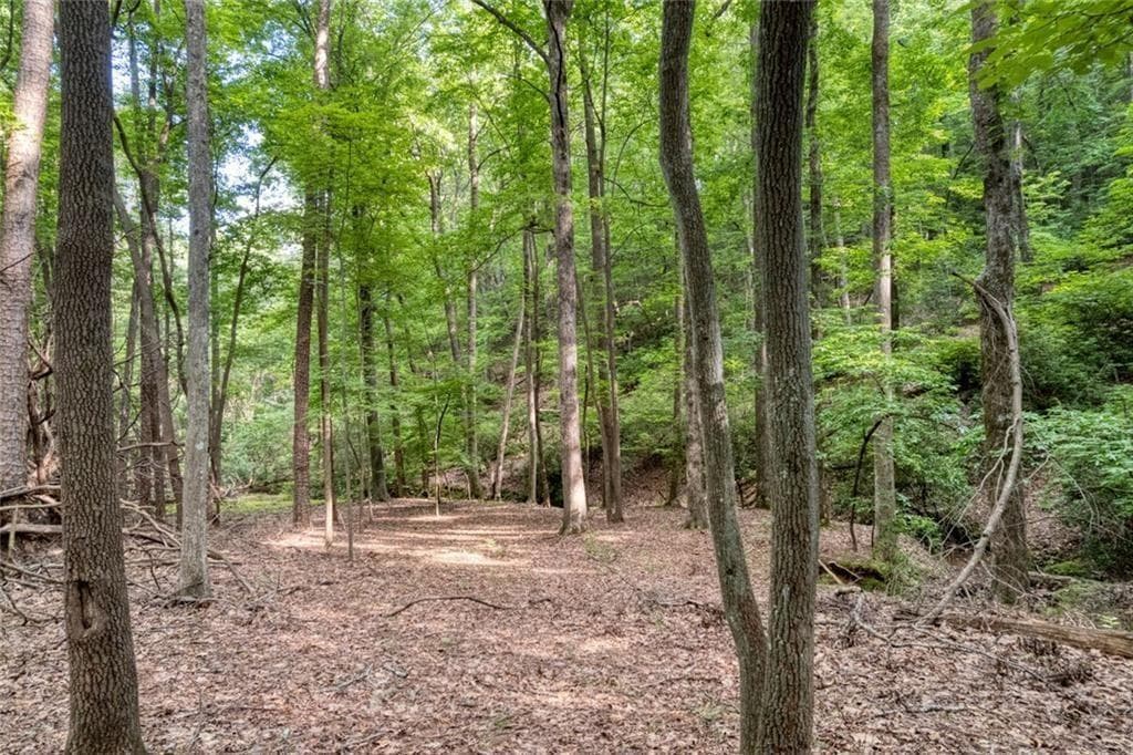 single family residence for sale at 90 Cardinal Cove, Big Canoe, GA 30143 — photo 2