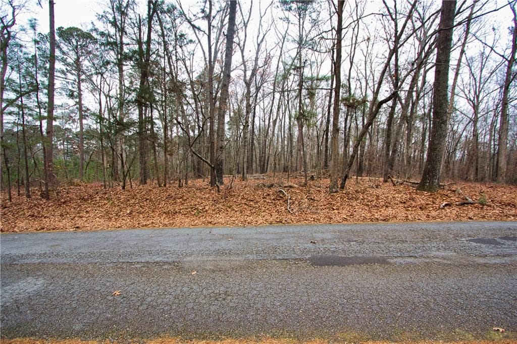 unimproved land for sale at 4051 Bailey Circle, Loganville, GA 30052 — photo 6