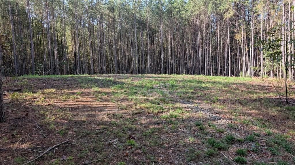unimproved land for sale at 1158 Ballard Rd, Ball Ground, GA 30107 — photo 4