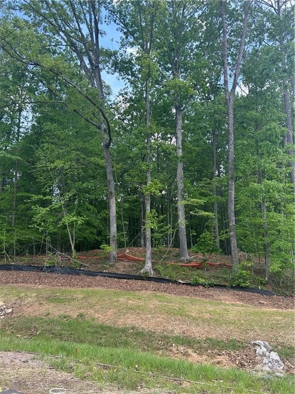 other for sale at 240 Thompson Trail, Milton, GA 30004 — photo 4