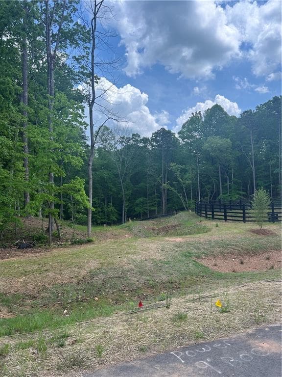 other for sale at 240 Thompson Trail, Milton, GA 30004 — photo 5