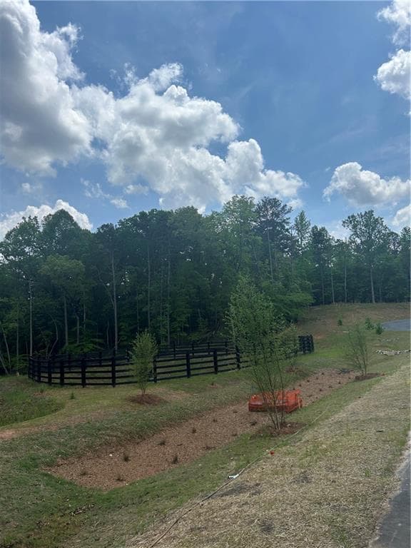 other for sale at 240 Thompson Trail, Milton, GA 30004 — photo 6