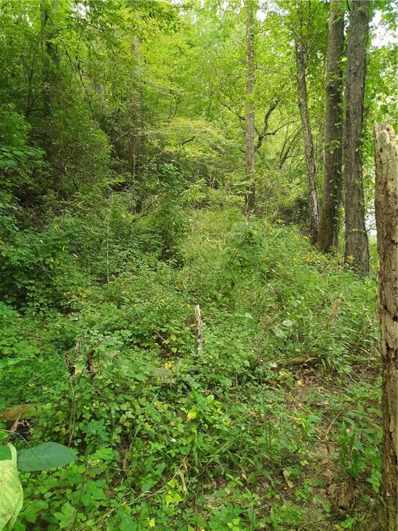 single family residence for sale at 00 Marie, Talking Rock, GA 30540