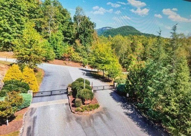 3 bedroom, 3 bathroom, 4,537 sq ft single family residence for sale at 655 Mountainside Drive, Cleveland, GA 30528 — photo 4