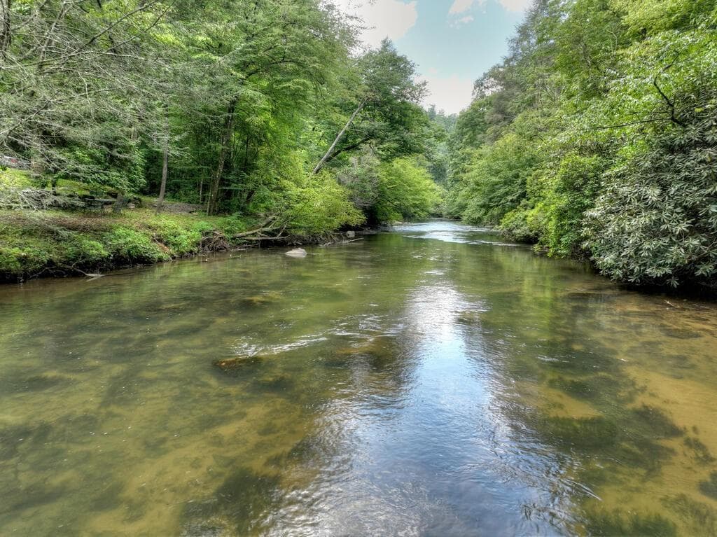 3 bedroom, 3 bathroom, 2,904 sq ft single family residence for sale at 46 Private Drive, Ellijay, GA 30536 — photo 6
