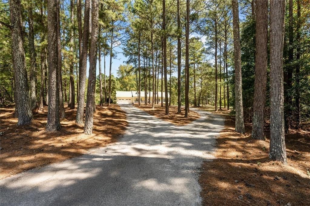 4 bedroom, 3 bathroom, 2,570 sq ft single family residence for sale at 51 Moon Road, Waco, GA 30182 — photo 2