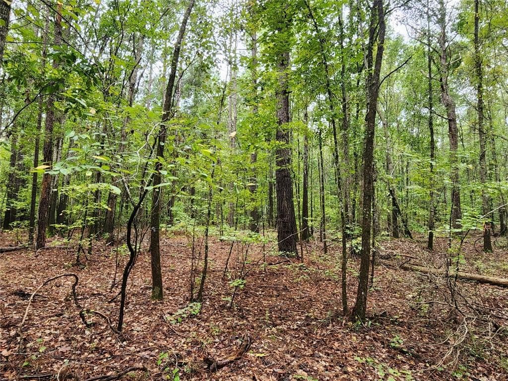 unimproved land for sale at 2090 Linton Road, Sparta, GA 31087 — photo 2