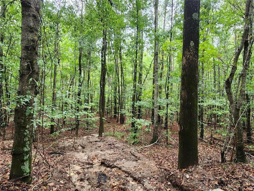unimproved land for sale at 2090 Linton Road, Sparta, GA 31087 — photo 3