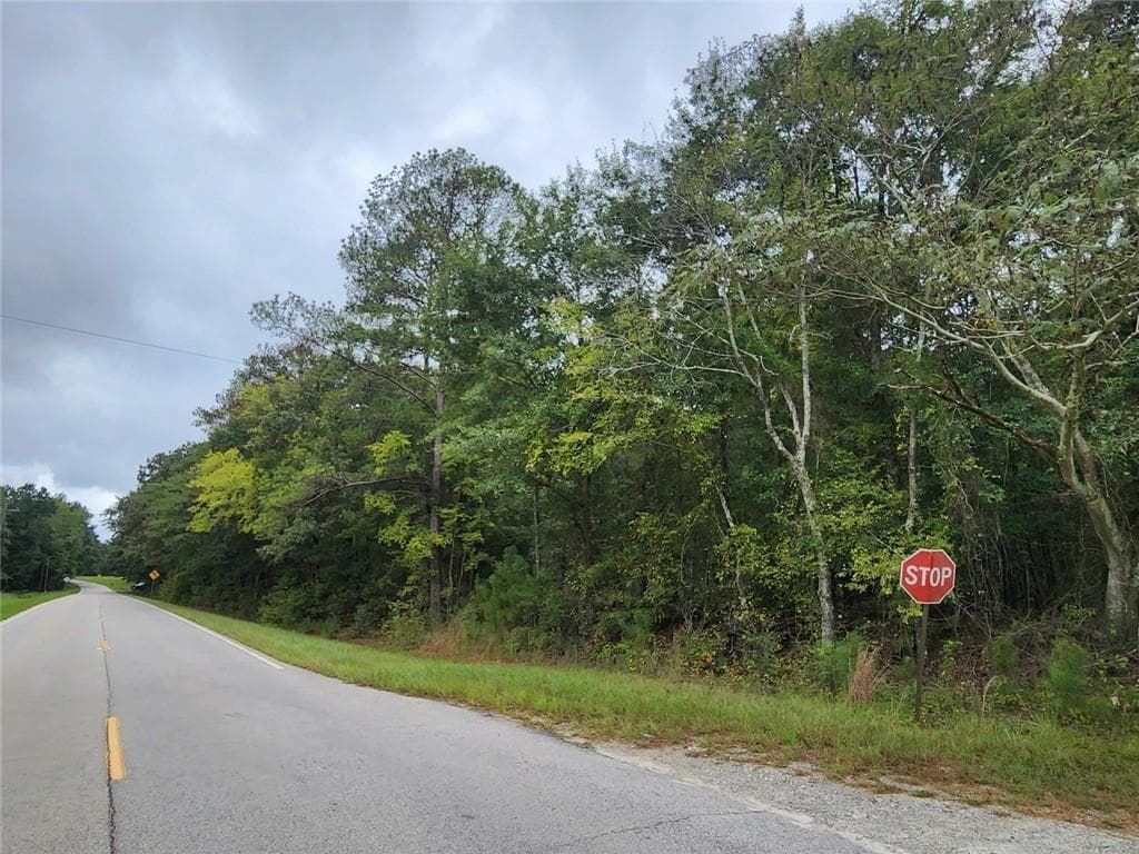 unimproved land for sale at 2090 Linton Road, Sparta, GA 31087 — photo 4