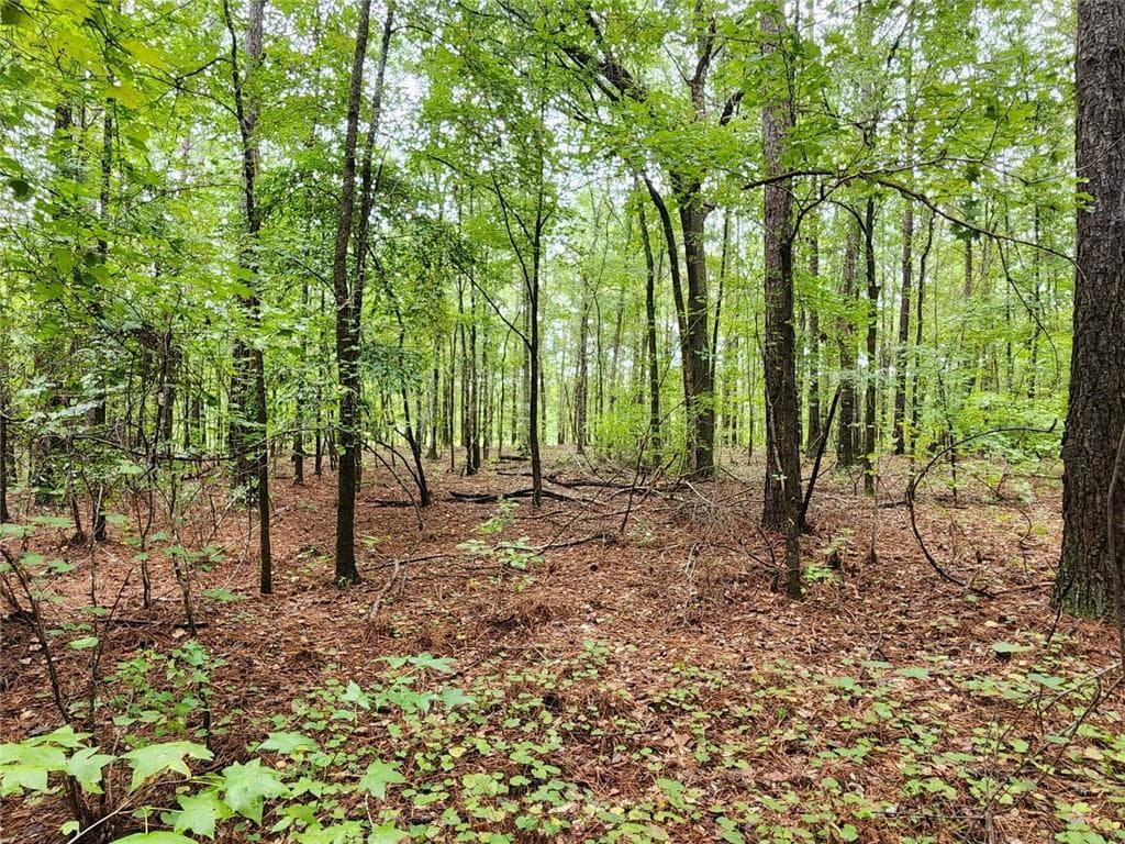 unimproved land for sale at 2090 Linton Road, Sparta, GA 31087 — photo 5