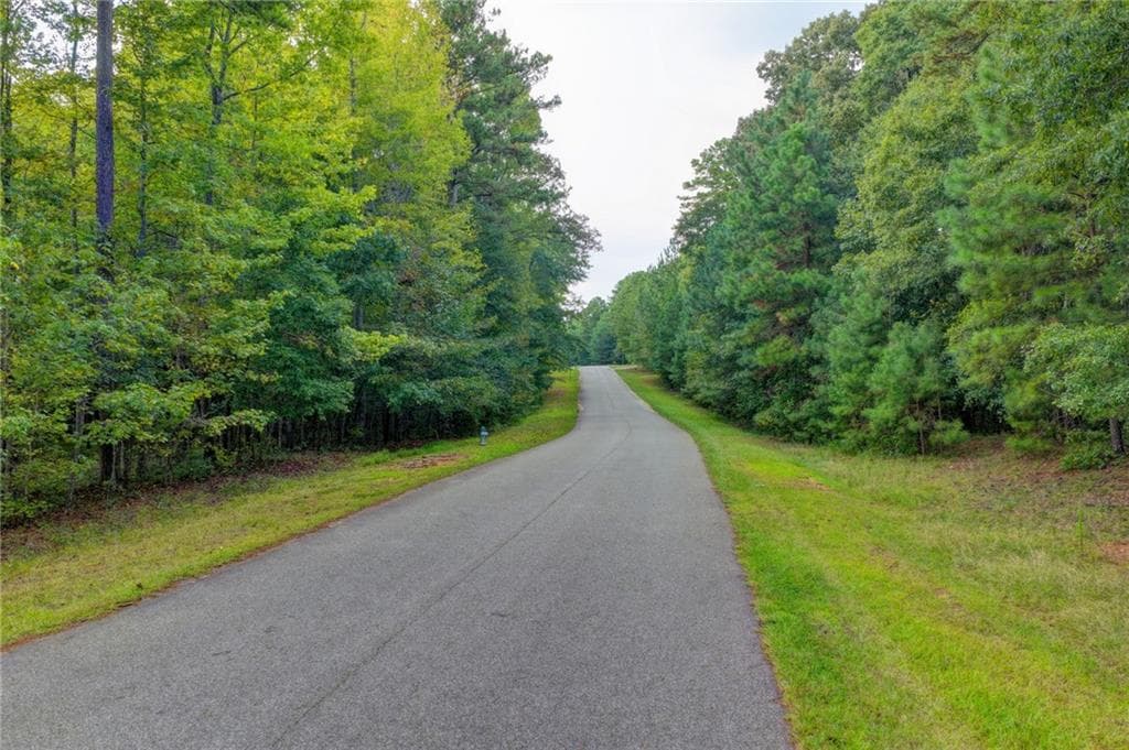 unimproved land for sale at 325 Huff Lake Road, Bogart, GA 30622 — photo 7