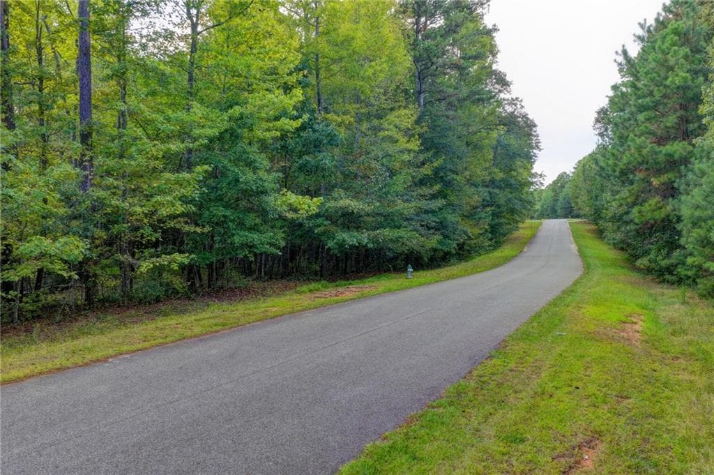unimproved land for sale at 325 Huff Lake Road, Bogart, GA 30622 — photo 8
