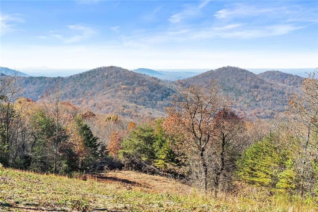 unimproved land for sale at 0 Helton Road, Cleveland, GA 30528 — photo 3