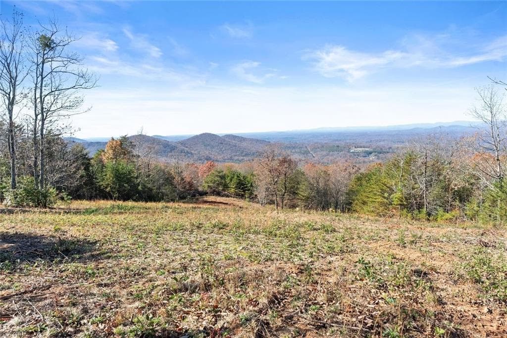 unimproved land for sale at 0 Helton Road, Cleveland, GA 30528 — photo 4