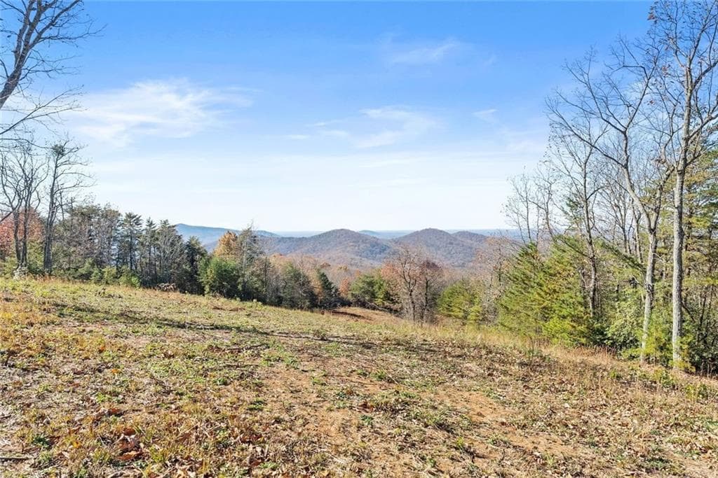 unimproved land for sale at 0 Helton Road, Cleveland, GA 30528 — photo 5