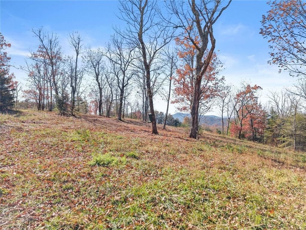 unimproved land for sale at 0 Helton Road, Cleveland, GA 30528 — photo 6