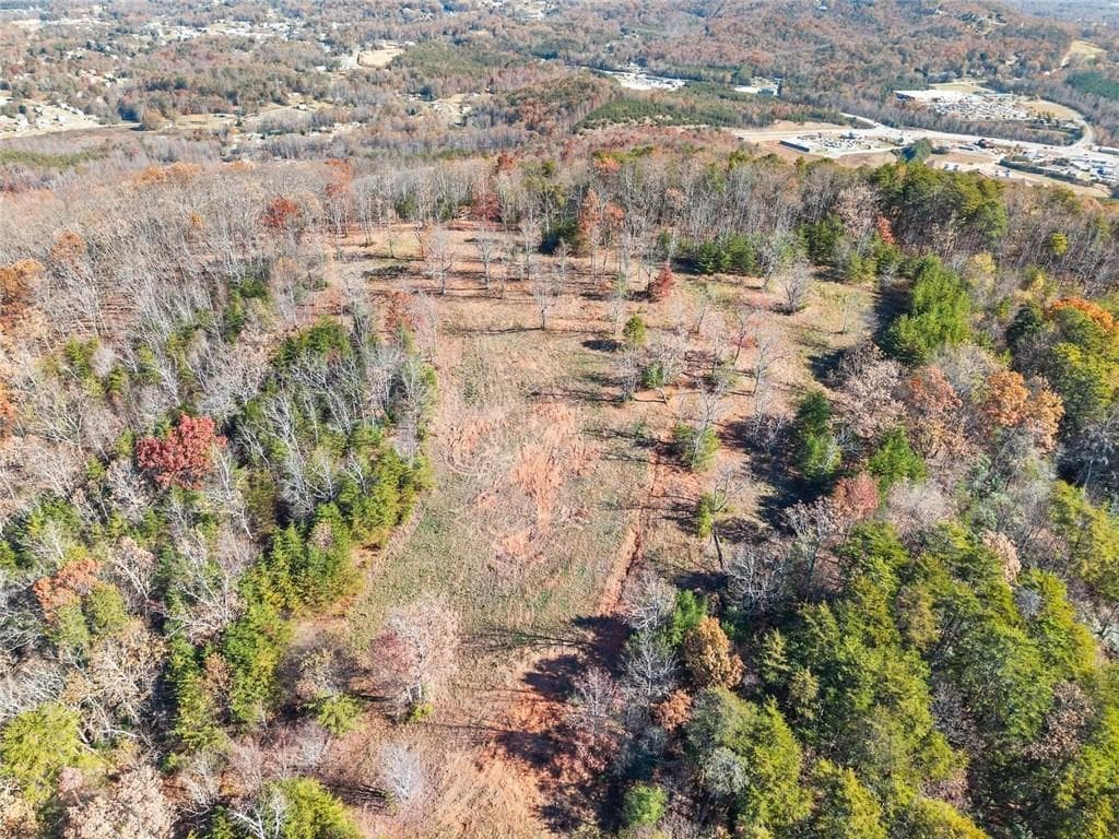 unimproved land for sale at 0 Helton Road, Cleveland, GA 30528 — photo 8
