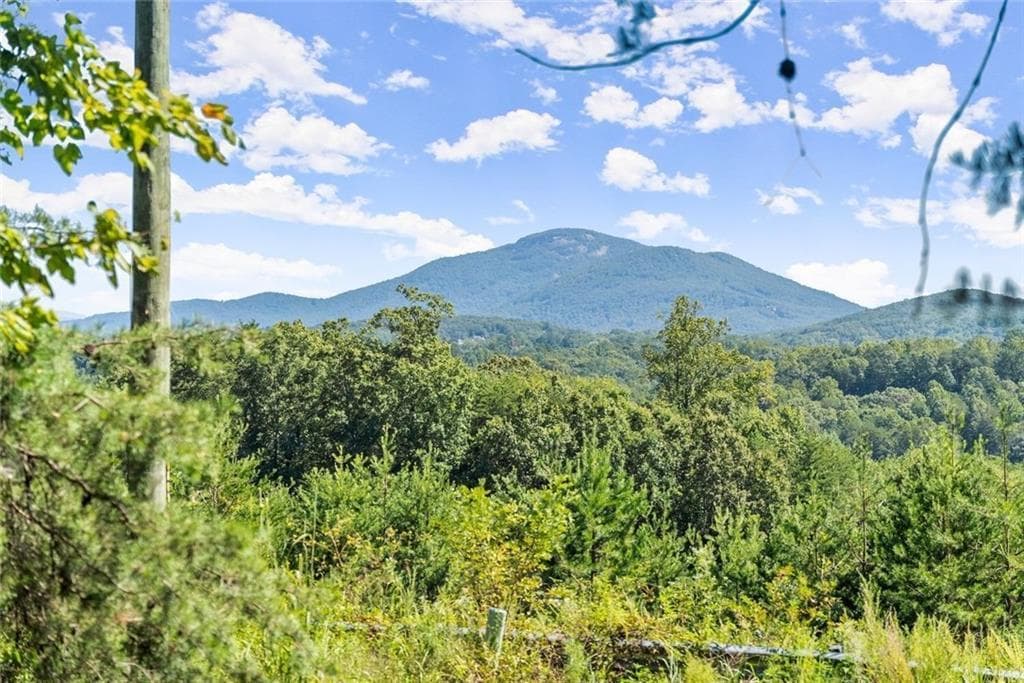unimproved land for sale at 0 Helton Road, Cleveland, GA 30528 — photo 9