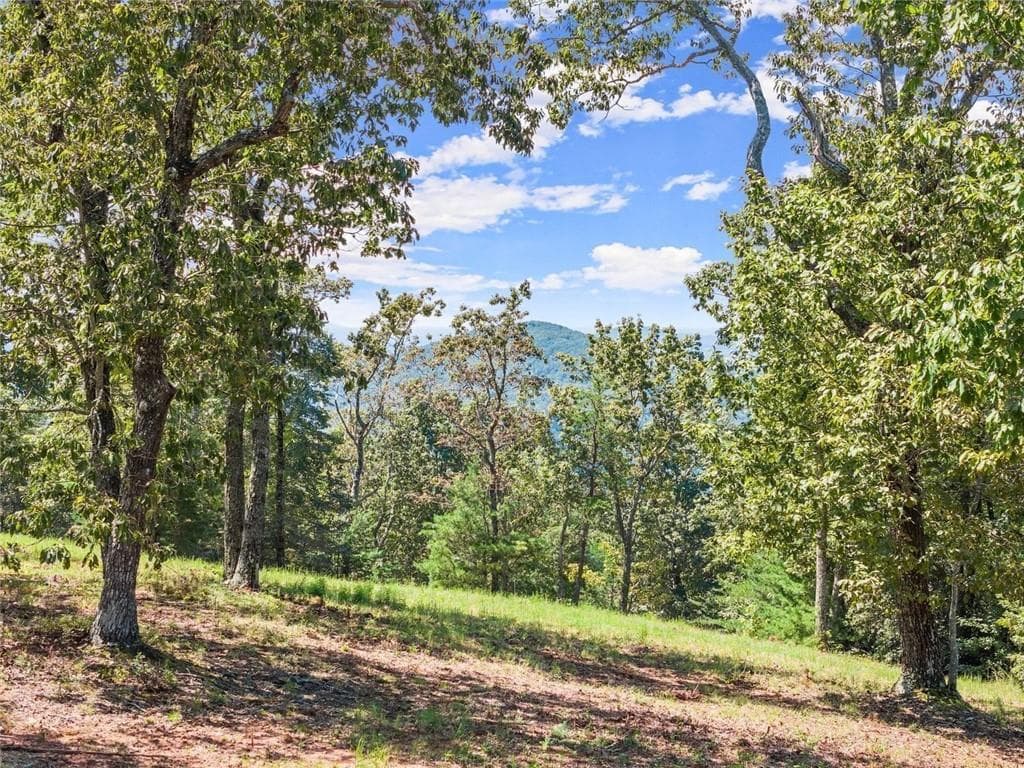 unimproved land for sale at 0 Helton Road, Cleveland, GA 30528 — photo 10