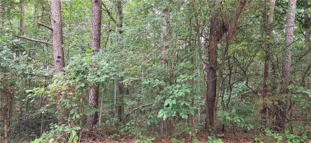 unimproved land for sale at 2678 Sleepy Hollow Road, Monroe, GA 30655 — photo 1 of 3
