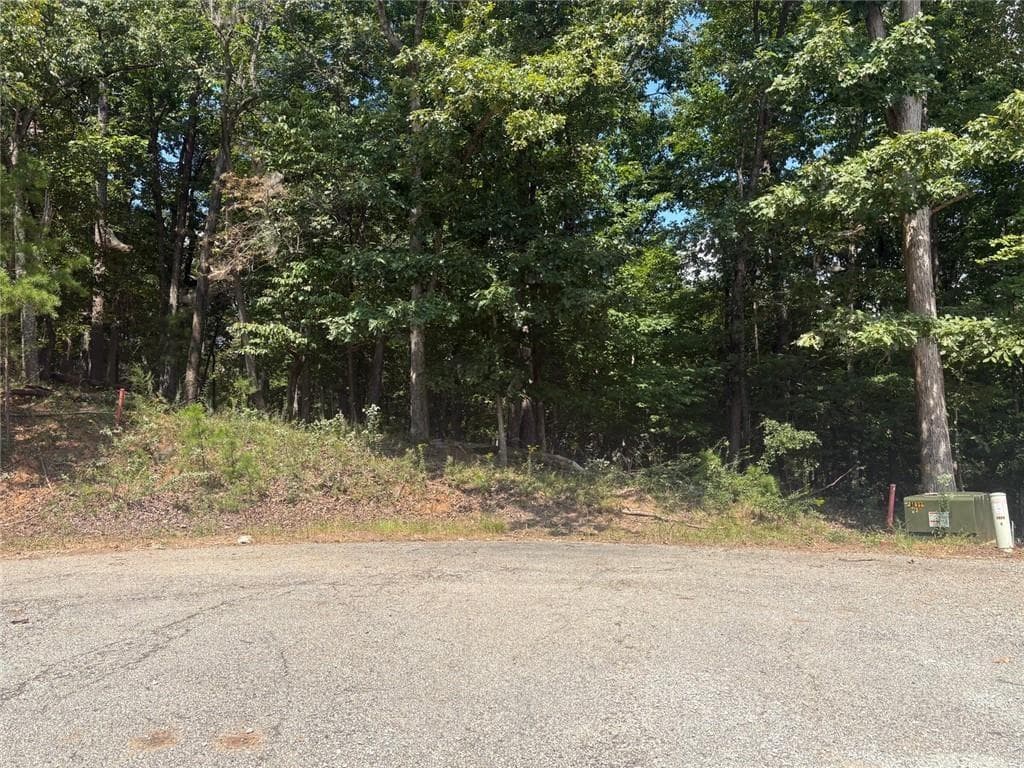 other for sale at 0 Planters Oak Ct - Lot #18, Baldwin, GA 30511 — photo 10