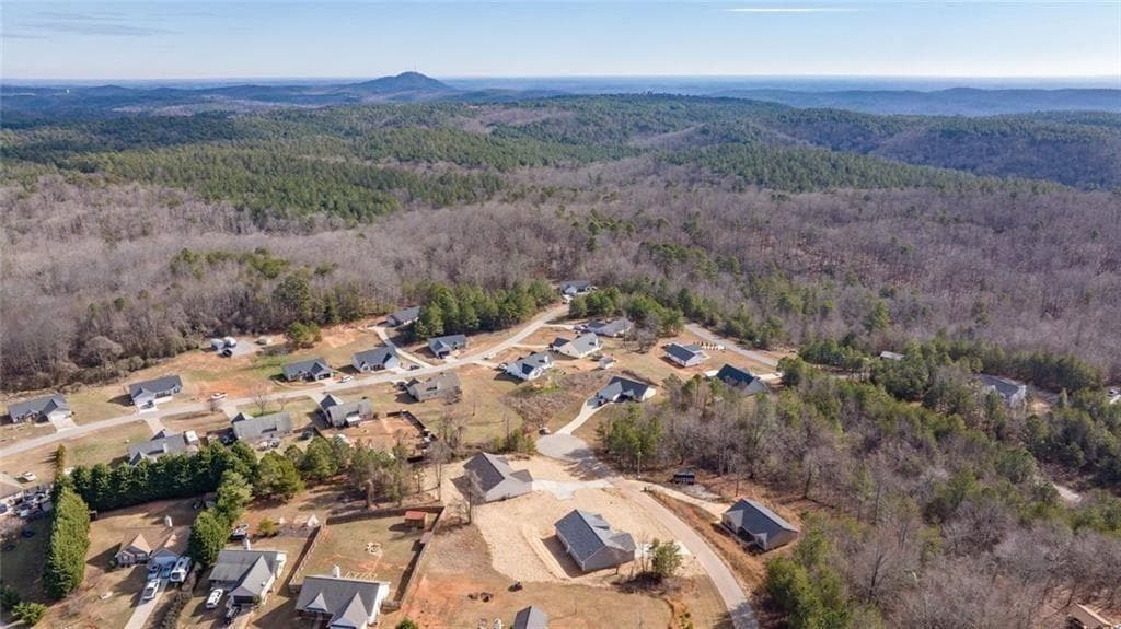 3 bedroom, 2 bathroom, 1,618 sq ft single family residence for sale at 613 Cypress Drive, Mount Airy, GA 30563 — photo 9