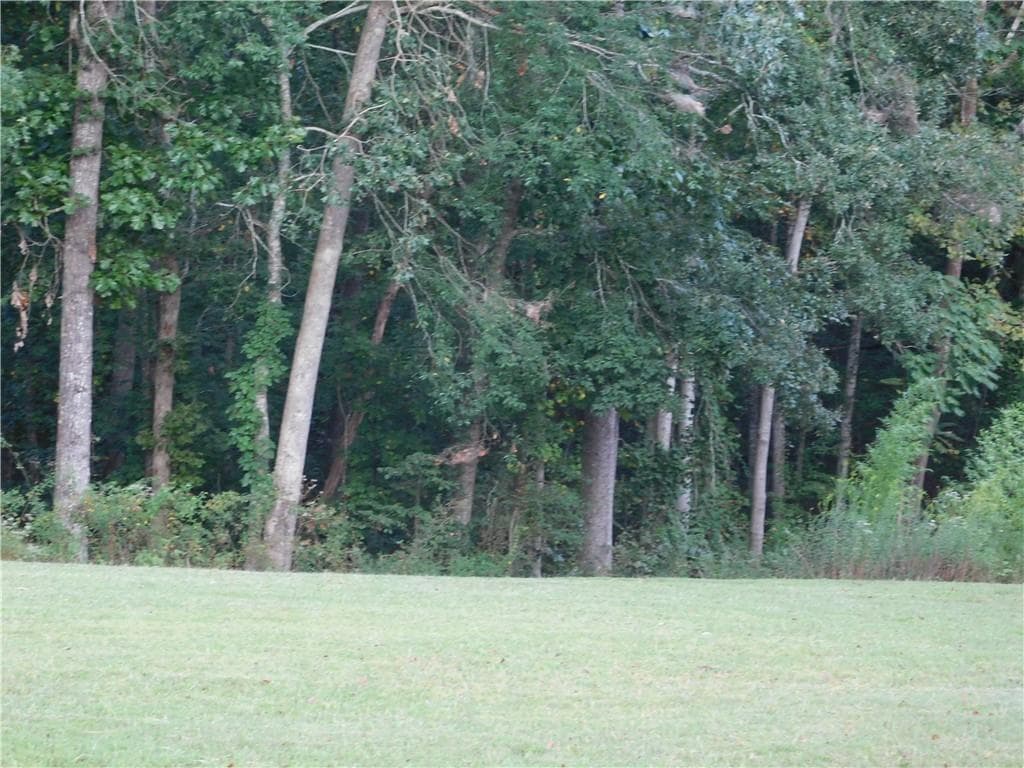 single family residence for sale at 180 Irvin Drive, Dawsonville, GA 30534 — photo 2