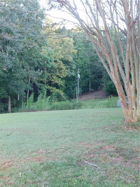 single family residence for sale at 180 Irvin Drive, Dawsonville, GA 30534 — photo 3
