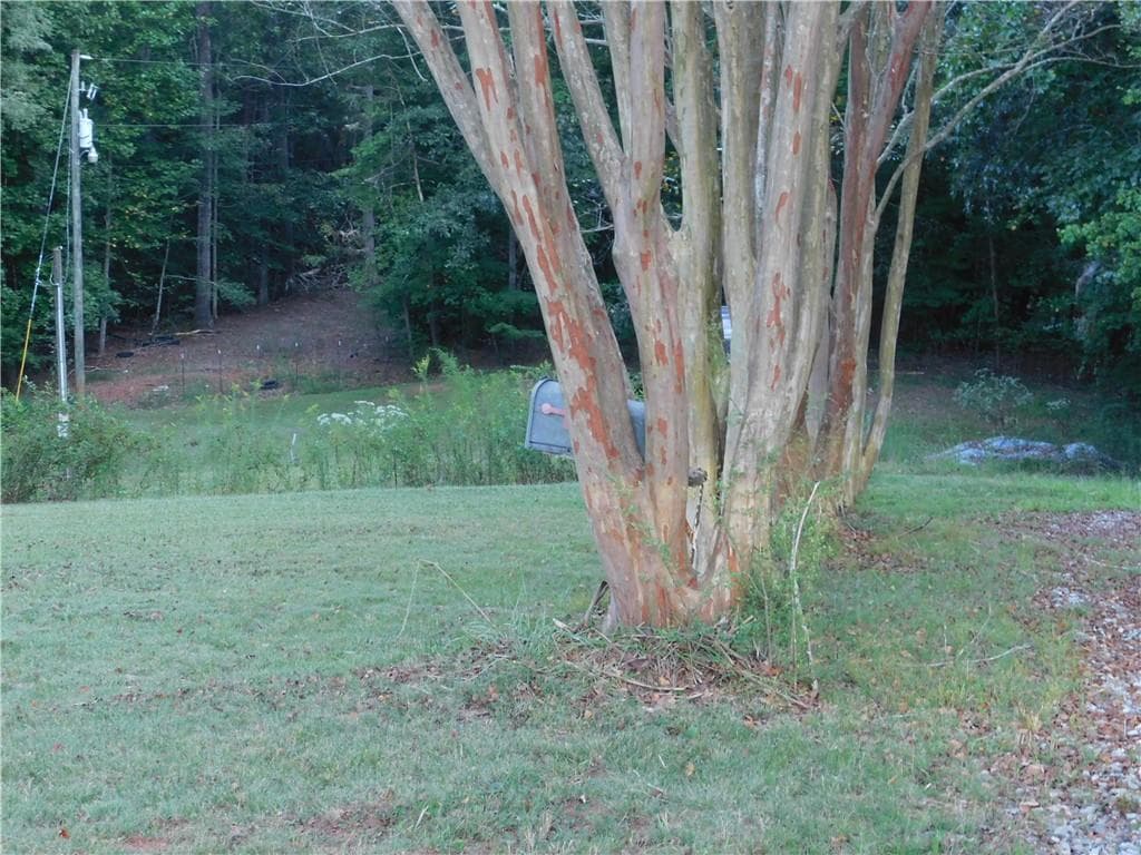 single family residence for sale at 180 Irvin Drive, Dawsonville, GA 30534 — photo 4
