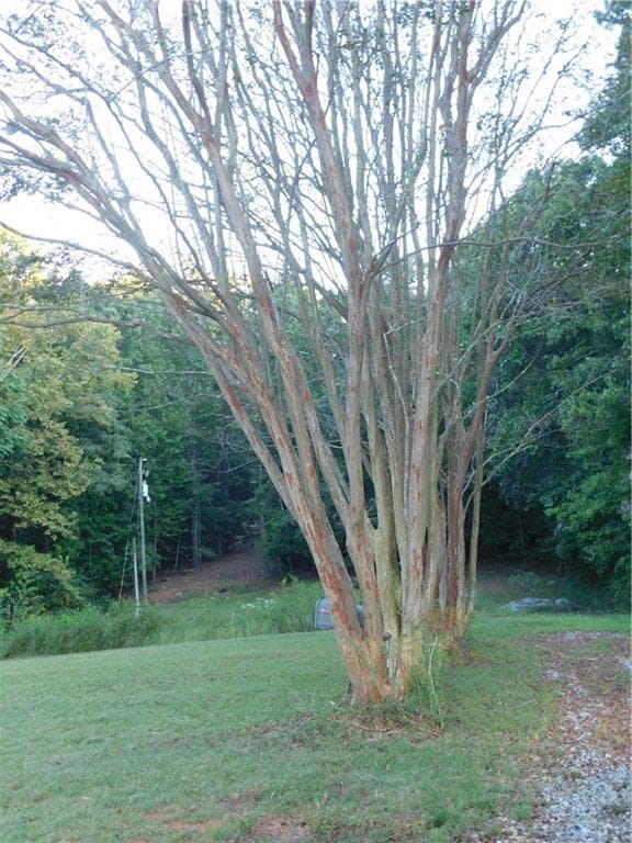 single family residence for sale at 180 Irvin Drive, Dawsonville, GA 30534 — photo 9