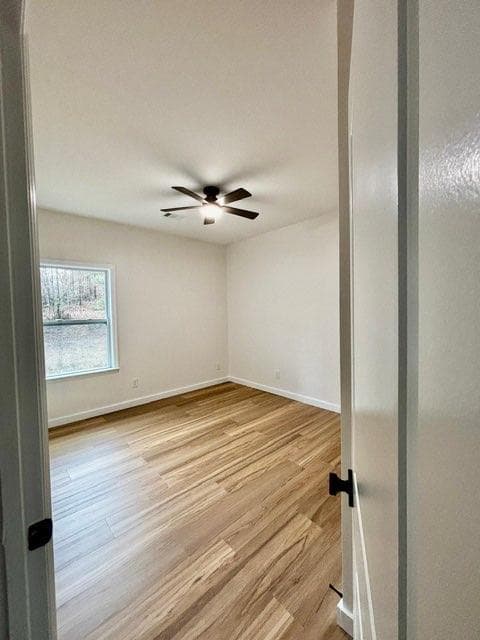 3 bedroom, 2 bathroom, 1,674 sq ft single family residence for sale at 116 Valley View Drive, Maysville, GA 30558 — photo 10