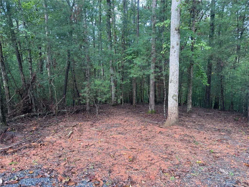 other for sale at 204 Hart Court, Ellijay, GA 30540 — photo 2
